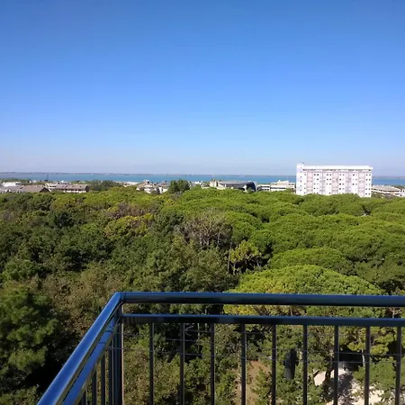 International Seaview Apartment *