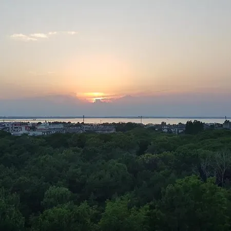 International Seaview