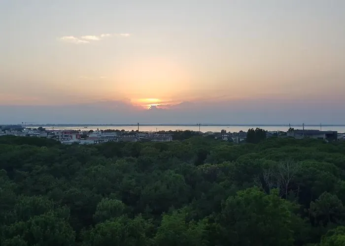 International Seaview